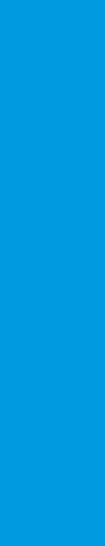 Decorative blue rectangle