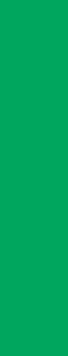 Decorative green rectangle